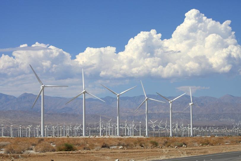 Photo - Wind turbines along a highway