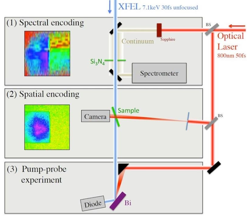 Image - Diagram showing path of pulses from X-ray and...