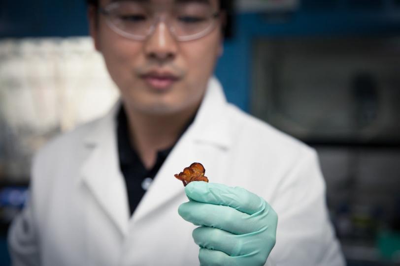 Photo - Wang holding chip of polymer