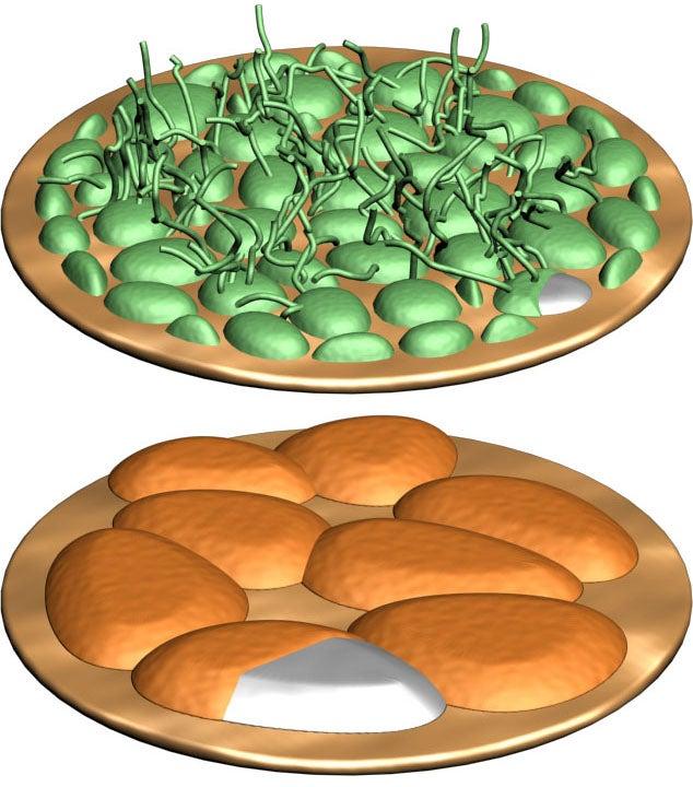 Image - concept of dendrites v pancakes