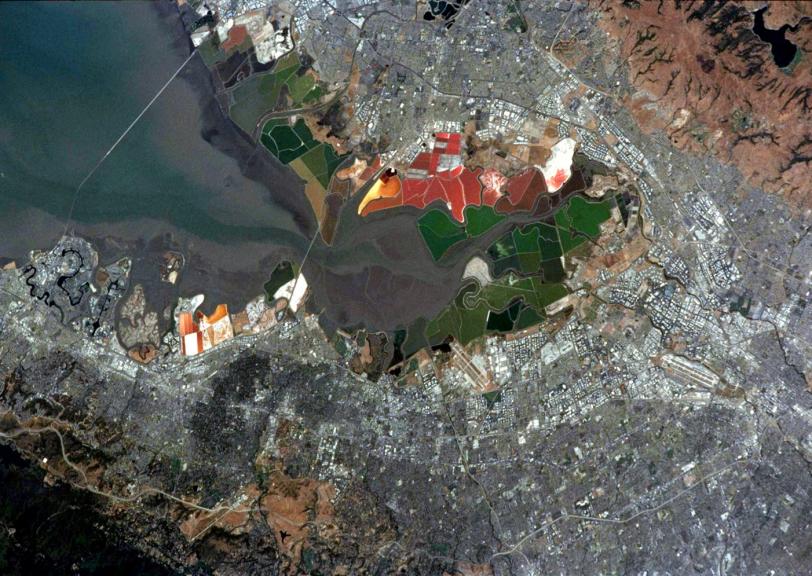 An image of San Francisco Bay salt ponds from space