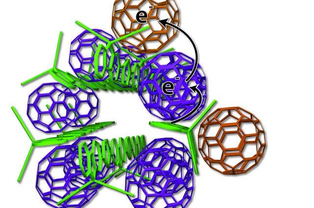 Scientists devised a new arrangement of solar cell ingredients, with bundles of polymer donors (green rods) and neatly organized carbon molecules, also known as fullerenes or buckyballs, serving as acceptors (purple, tan). (UCLA)