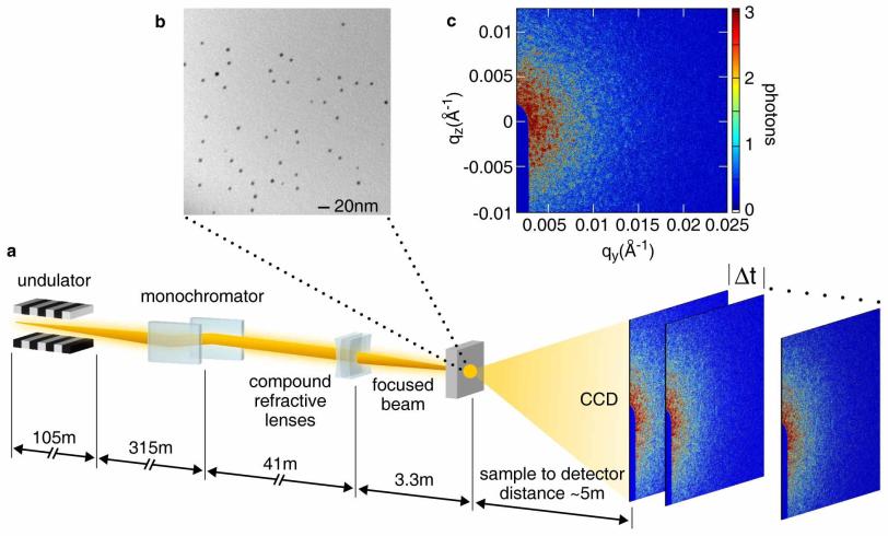 experimental setup for an X-ray photon correlation spectroscopy experiment