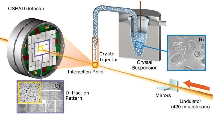 Image - Diagram showing the setup for an X-ray crystallography experiment at SLAC's Linac Coherent Light Source X-ray Laser.