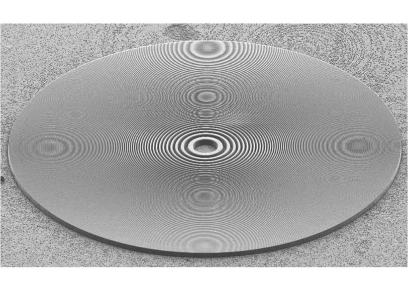 Full View of Fresnel Zone Plate Etched into Diamond Substrate