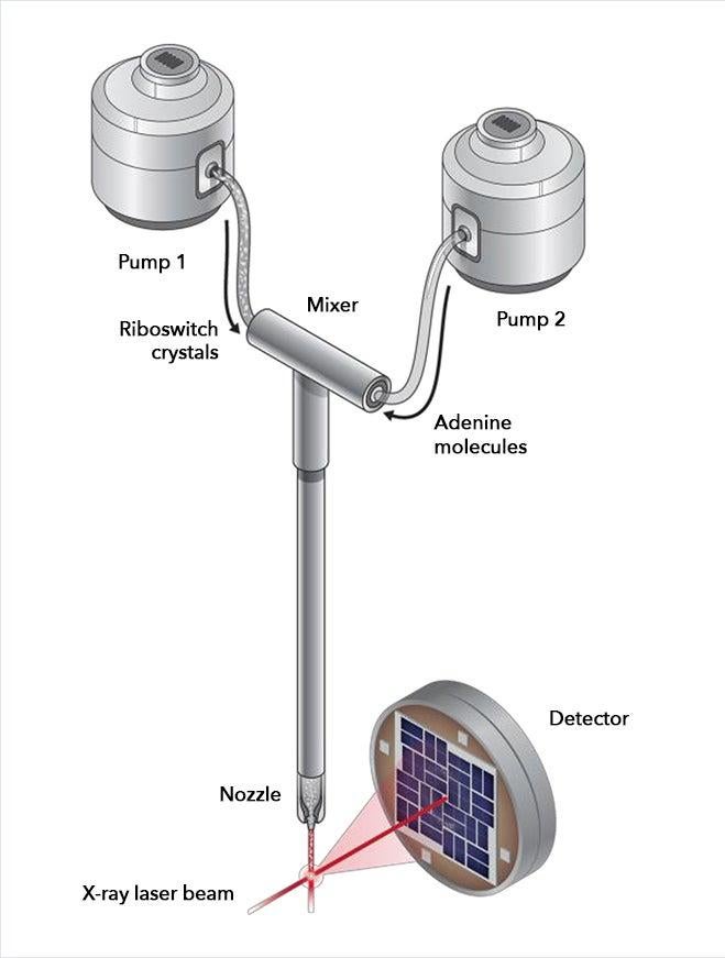 Diagram showing experimental setup at LCLS