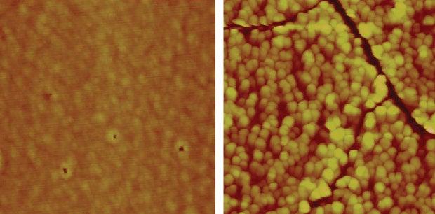 Images made with an atomic force microscope show variations in the height of the catalyst’s surface