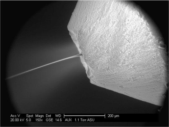 Magnified image of a micro-jet nozzle squirting an oily solution called a "lipidic sponge phase"