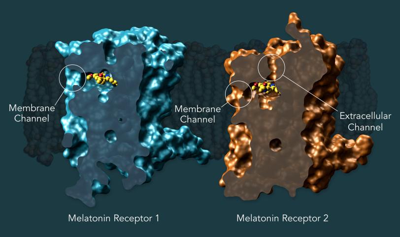 melatonin comparison