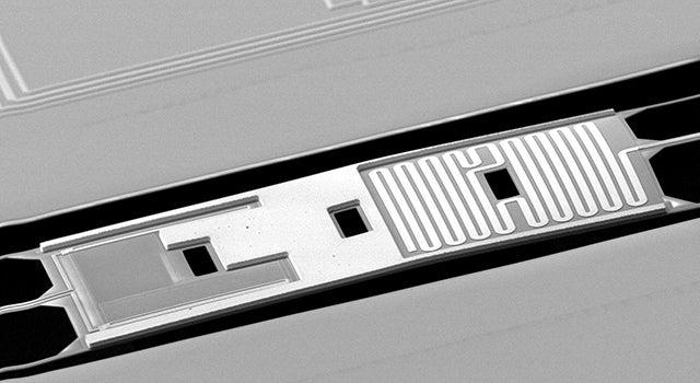 Image - The BICEP2 detector shown in this electron-beam micrograph works by converting the light from the cosmic microwave background into heat. A titanium film tuned on its transition to a superconducting state makes a sensitive thermometer.