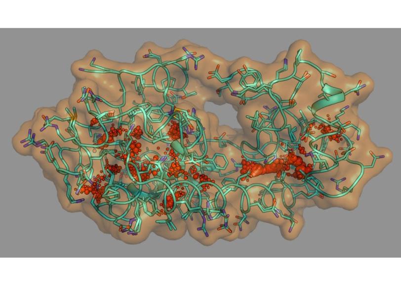 a protein ensemble