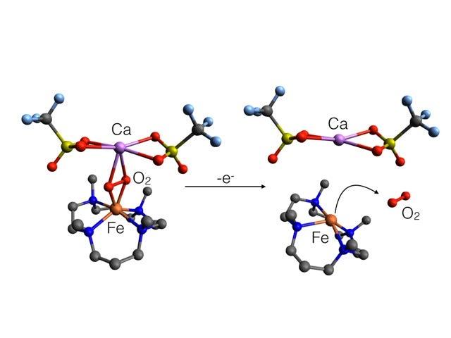 Image - This illustration of a model molecular complex mimics the final step in the cycle of photosynthesis: oxygen release. 