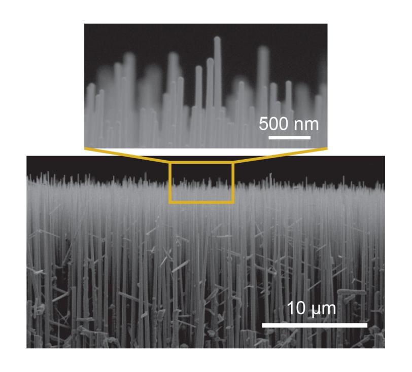 Nanopillars of germanium wire used in the experiment