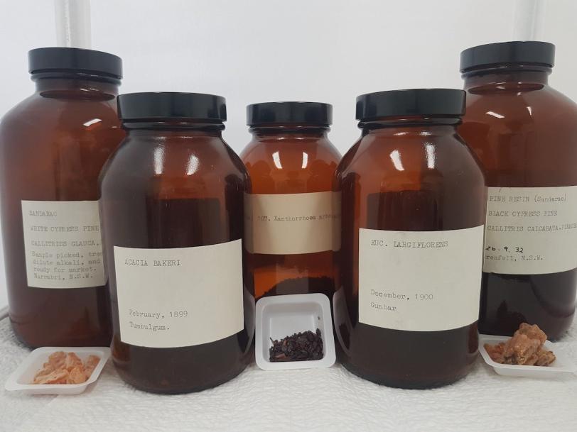 Plant samples from Australia preserved in jars. 