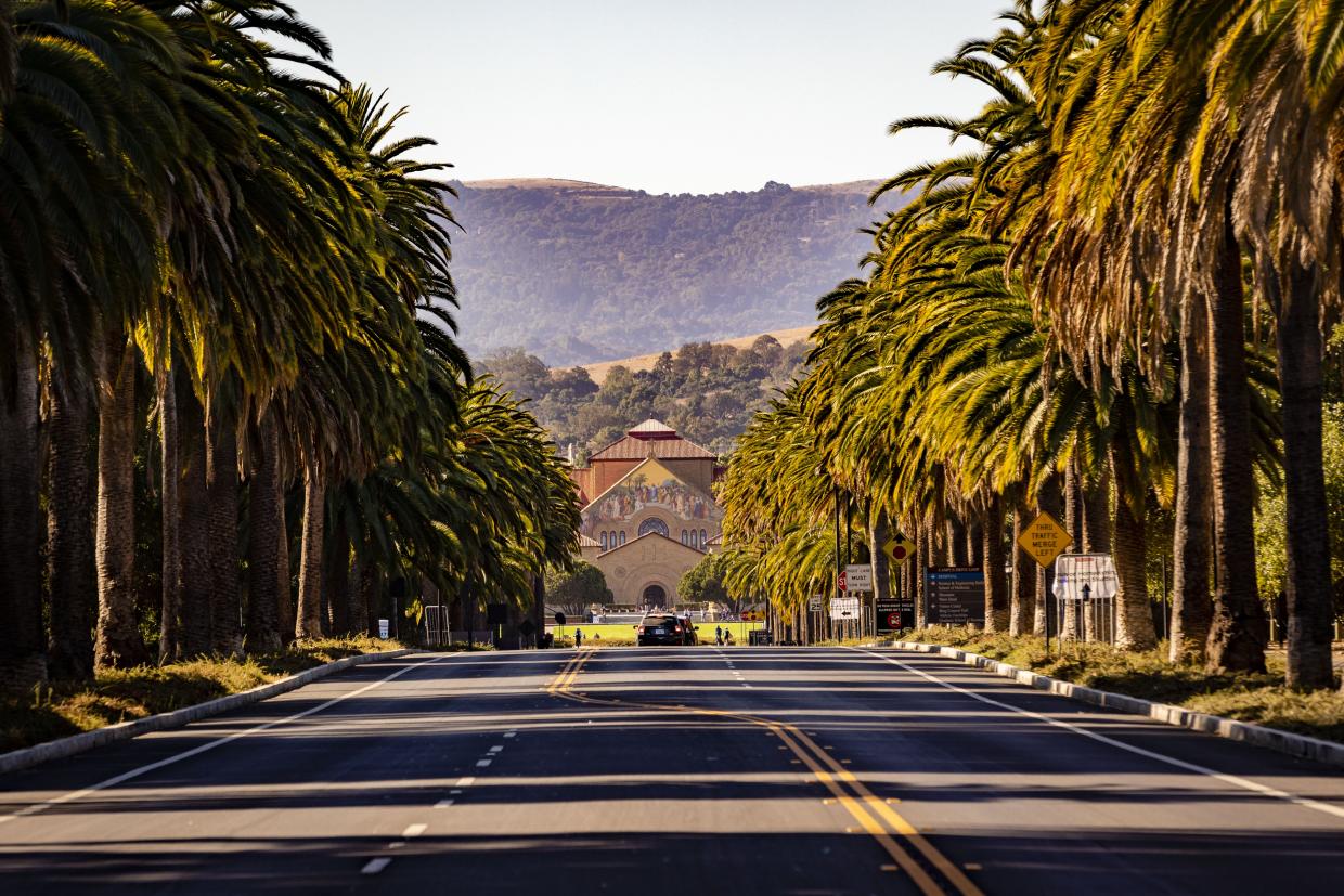 Stanford University showing the drive in on Palm Drive