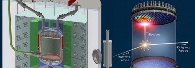 A schematic of a xenon tank detector and a schematic showing how particles interact with xenon. 