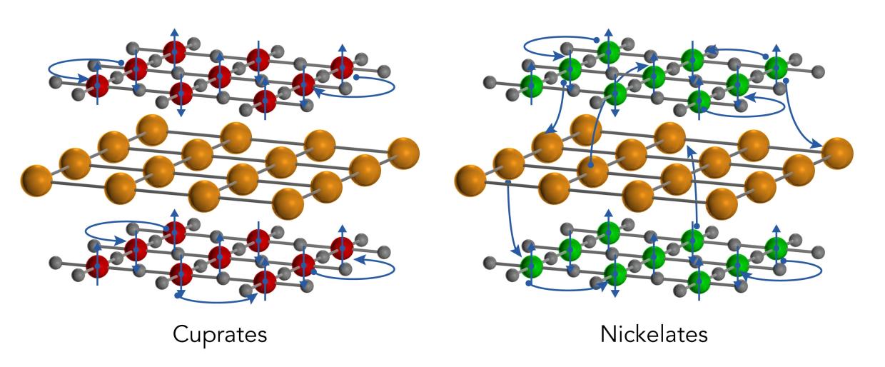 Graphic comparing electronic structures of nickelates and cuprates 