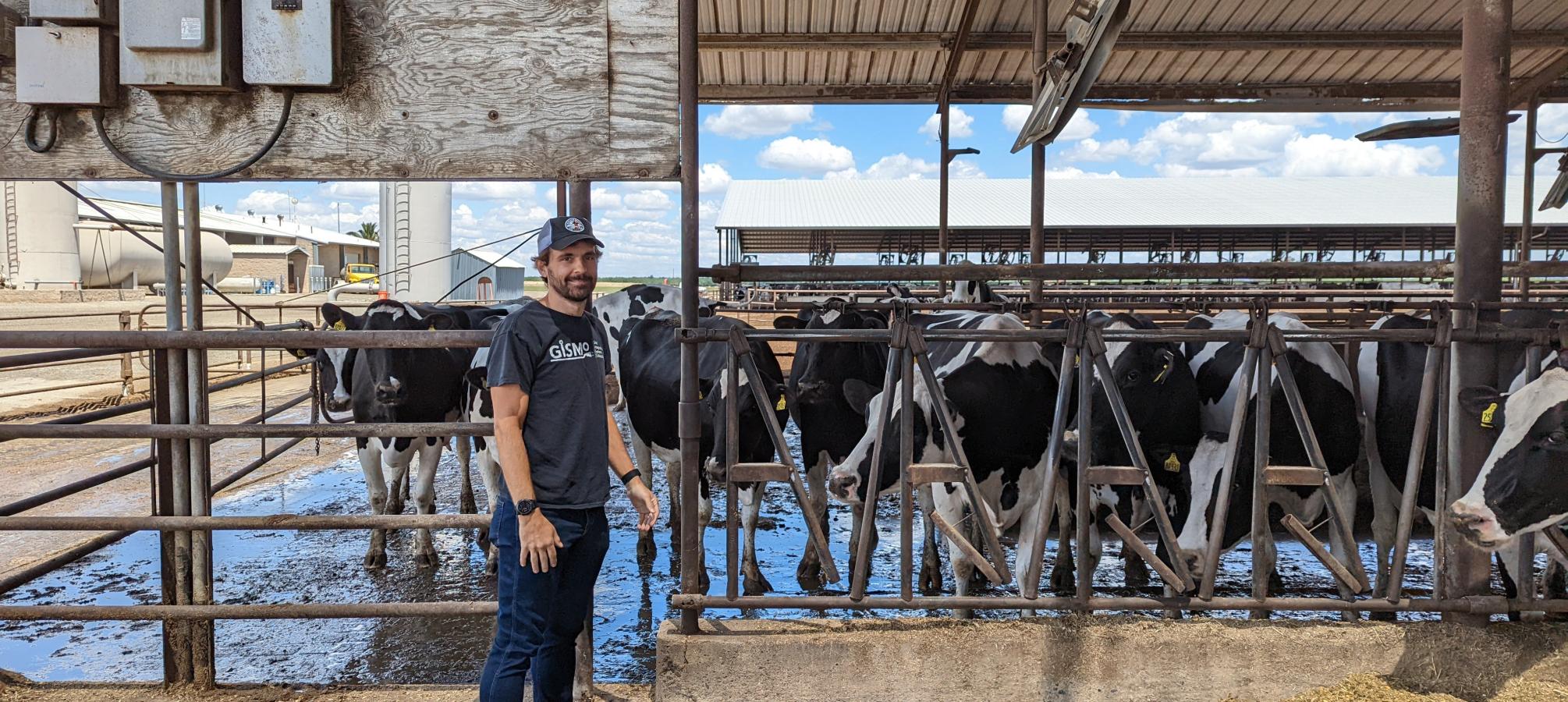 A day in the life of an electricity and cool cow engineer