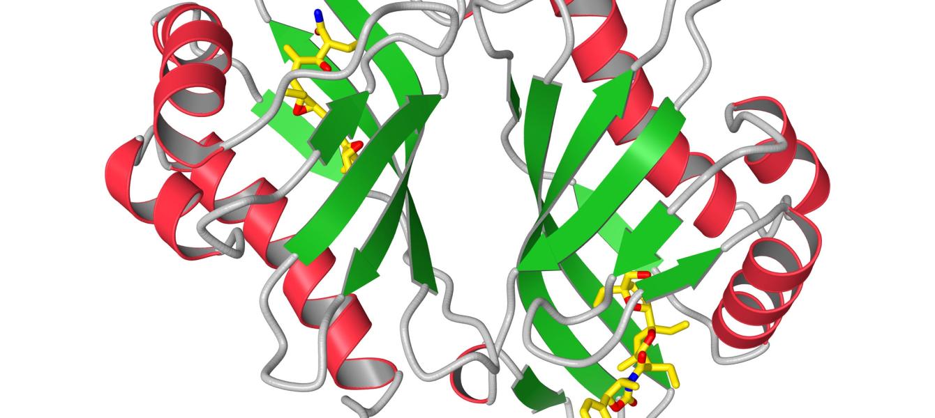 X rays Reveal How Soil Bacteria Carry Out Surprising Chemistry