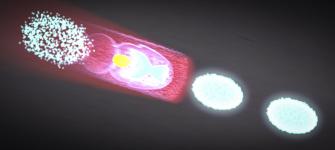 This is a graphic image of particles moving through plasma during plasma wakefield acceleration.