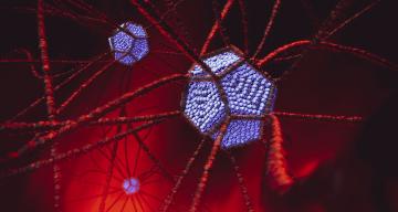 A web of red material encapsulates blue polyhedrons.