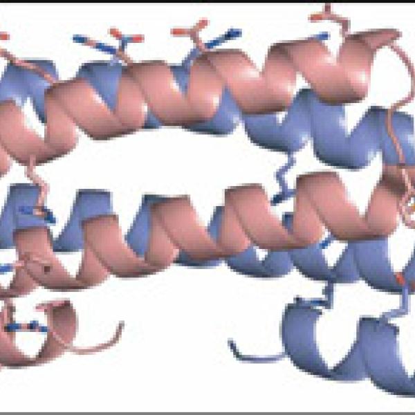 The crystallographic structure of the M. tuberculosis CsoR protein.