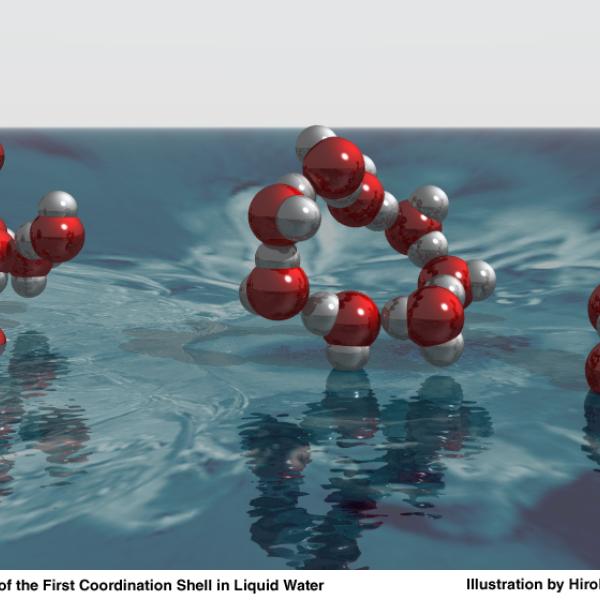 The structure of the first coordination shell in liquid water