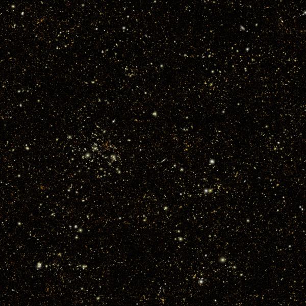 A field of bright spots on a black background.