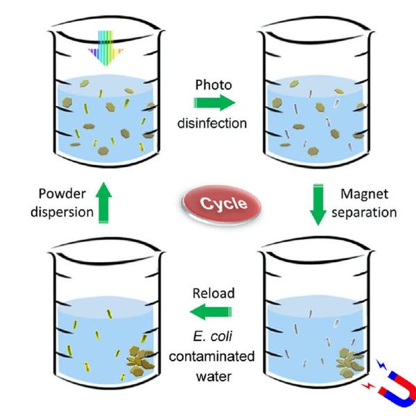 Four cups of water arranged in a cycle, illustrating a decontamination cycle.