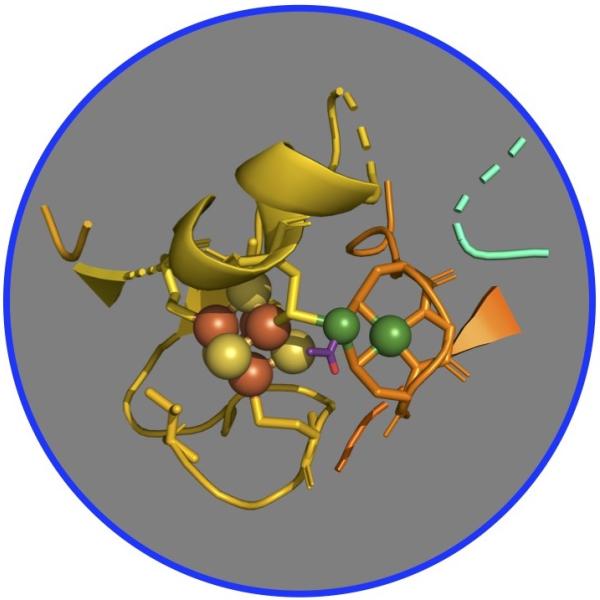 A multicolored diagram of a molecule. 