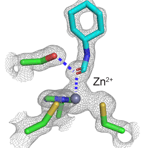 Illustration of an enzyme modified to work 50 times faster 
