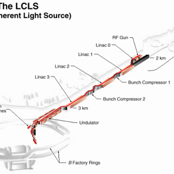 Layout of the Linac Coherent Light Source