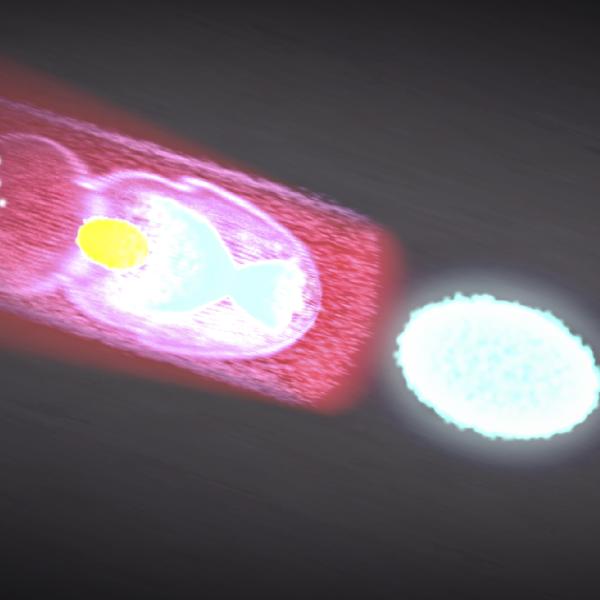 This is a graphic image of particles moving through plasma during plasma wakefield acceleration.