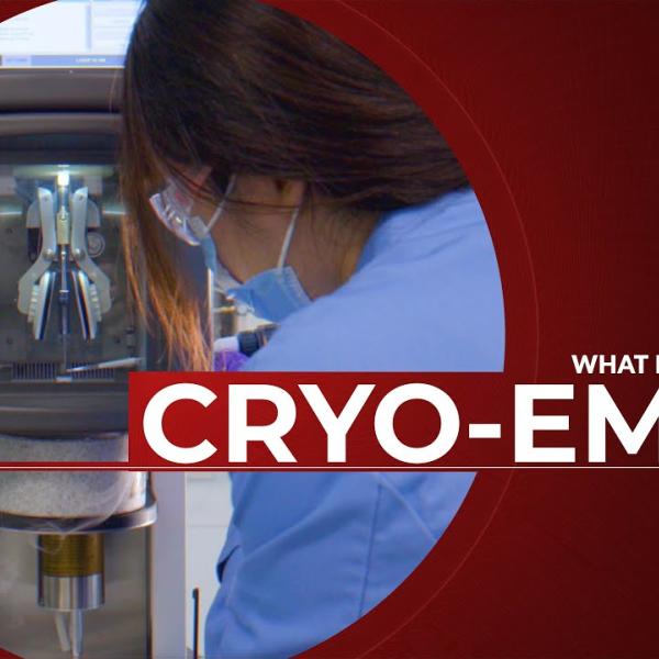 Stillframe of Cryo-EM explainer video