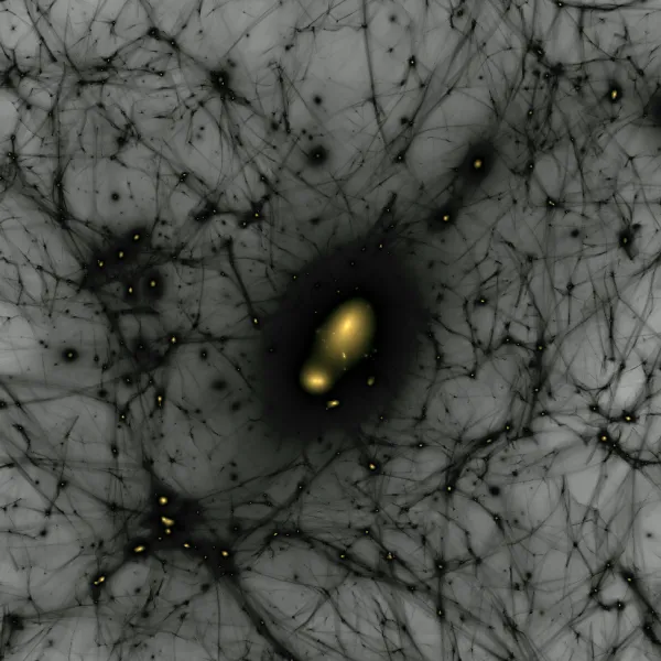 A web of dark matter, in which galaxies are forming.