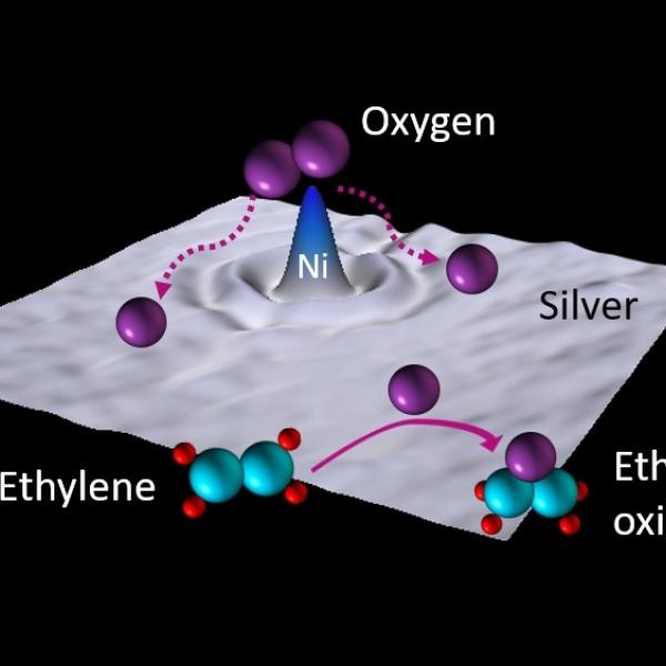 An illustration of purple balls (oxygen) gather near a nickel atom embedded in a sheet of silver.