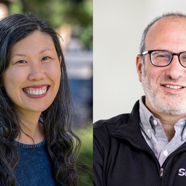 Wendy Mao and Alberto Salleo
