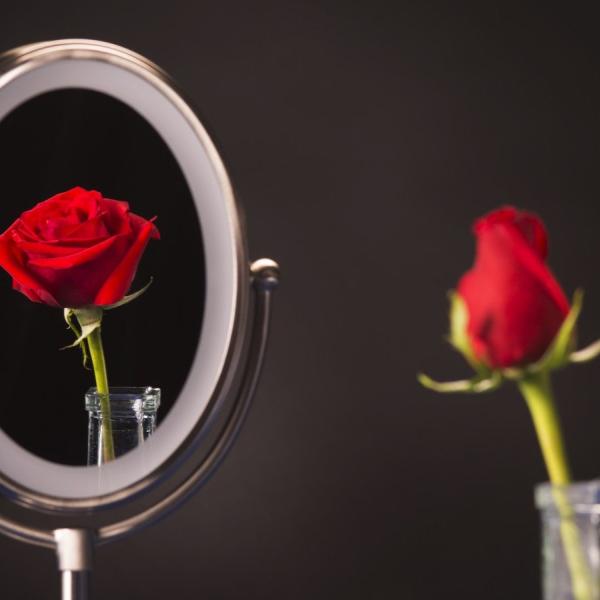 Photo of closed rose. In mirror it is open.
