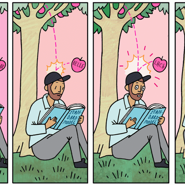 Illlustration of person reading standard model keep getting bonked with apples labeled as different experiments