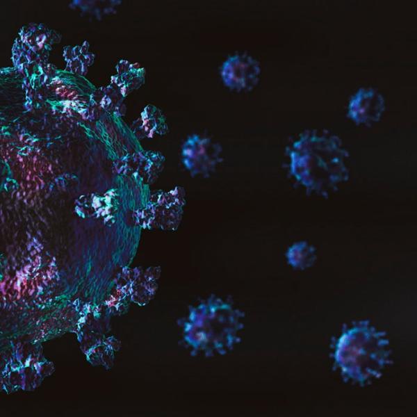 A rendering of the SARS-CoV-2 virus.