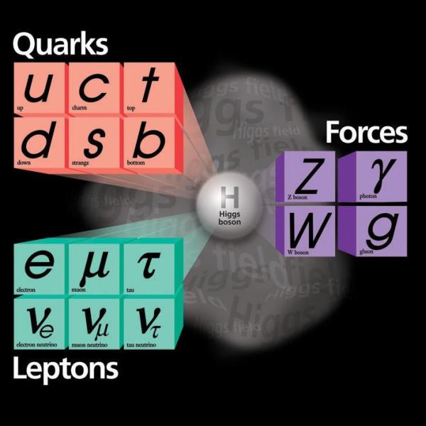 The fundamental particles of the Standard Model