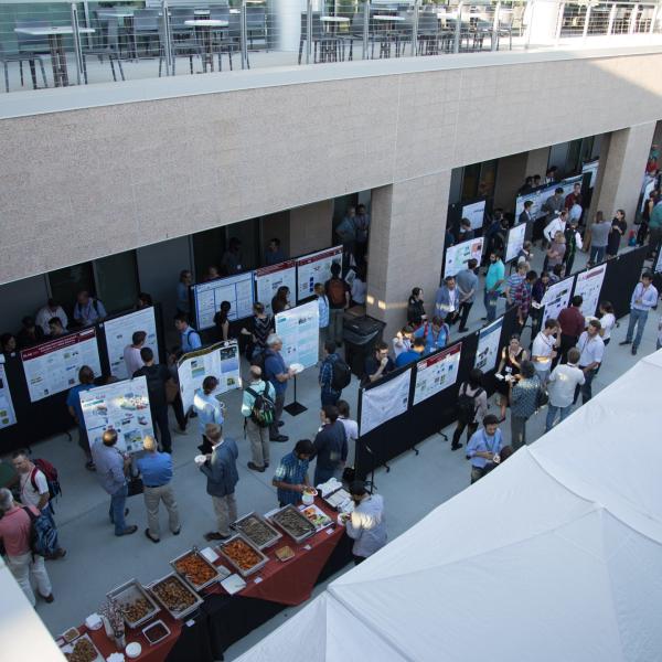 Birds-eye view of the poster session