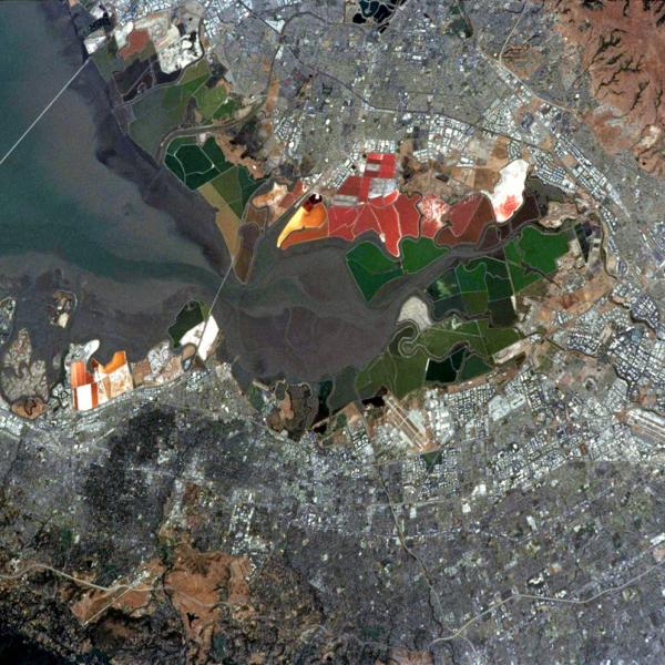 An image of San Francisco Bay salt ponds from space