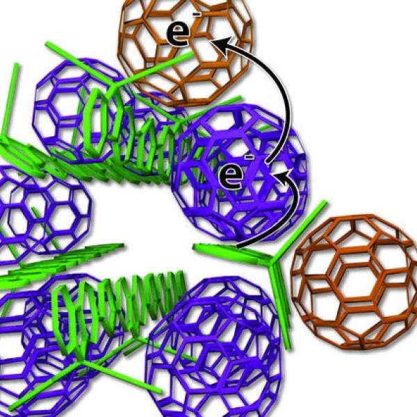 Scientists devised a new arrangement of solar cell ingredients, with bundles of polymer donors (green rods) and neatly organized carbon molecules, also known as fullerenes or buckyballs, serving as acceptors (purple, tan). (UCLA)
