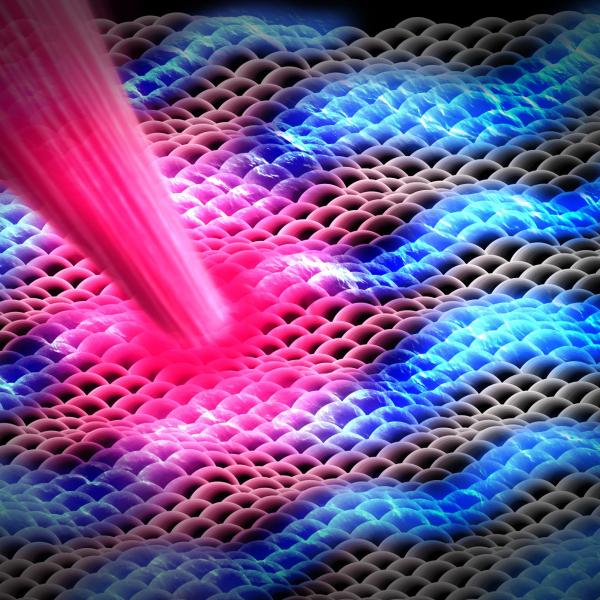 a three-atom-thick layer of a promising material as it wrinkles in response to a laser pulse
