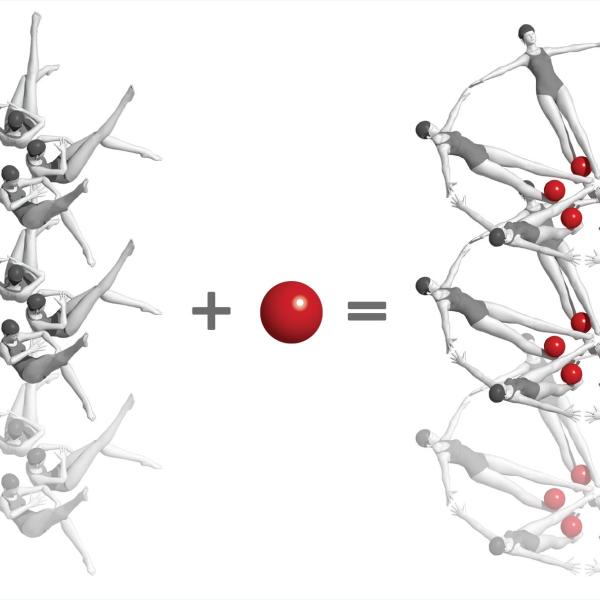 Illustration depicting a chemical interaction as synchronized swimmers.