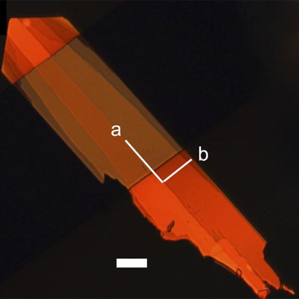 Single crystal of new organic semiconductor shown in polarized light (Image by Anatoliy Sokolov.)