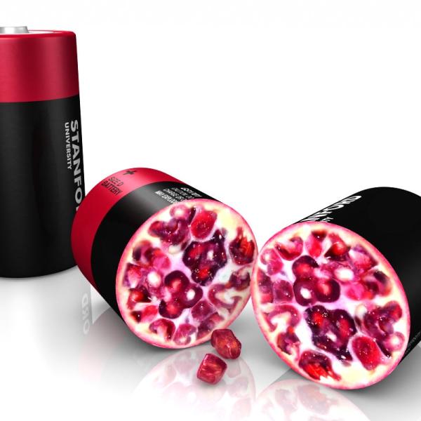 A fanciful illustration of pomegranate seeds inside a conventional battery