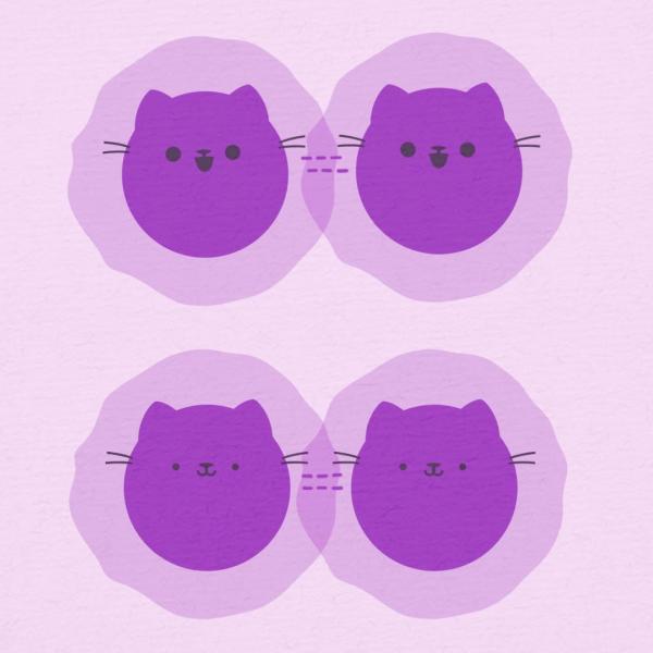 Illustration of a molecule splitting into two Schroedinger's Cat states 