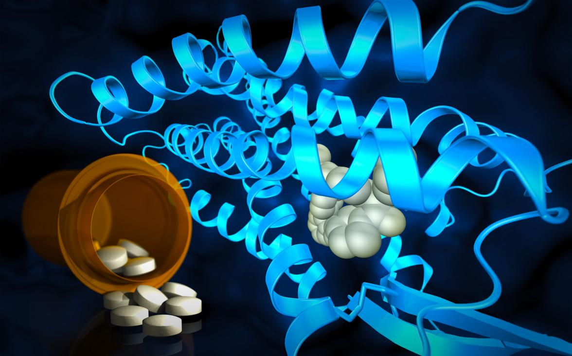 Powerful X-rays reveal molecular structures at the site where drug compounds interact with cell receptors.